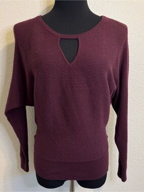 Express Women's Plum Keyhole Sweater - S
